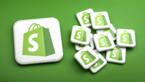 Growth Services for Shopify Merchants
